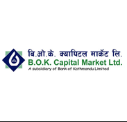 BOK-Capital-Market